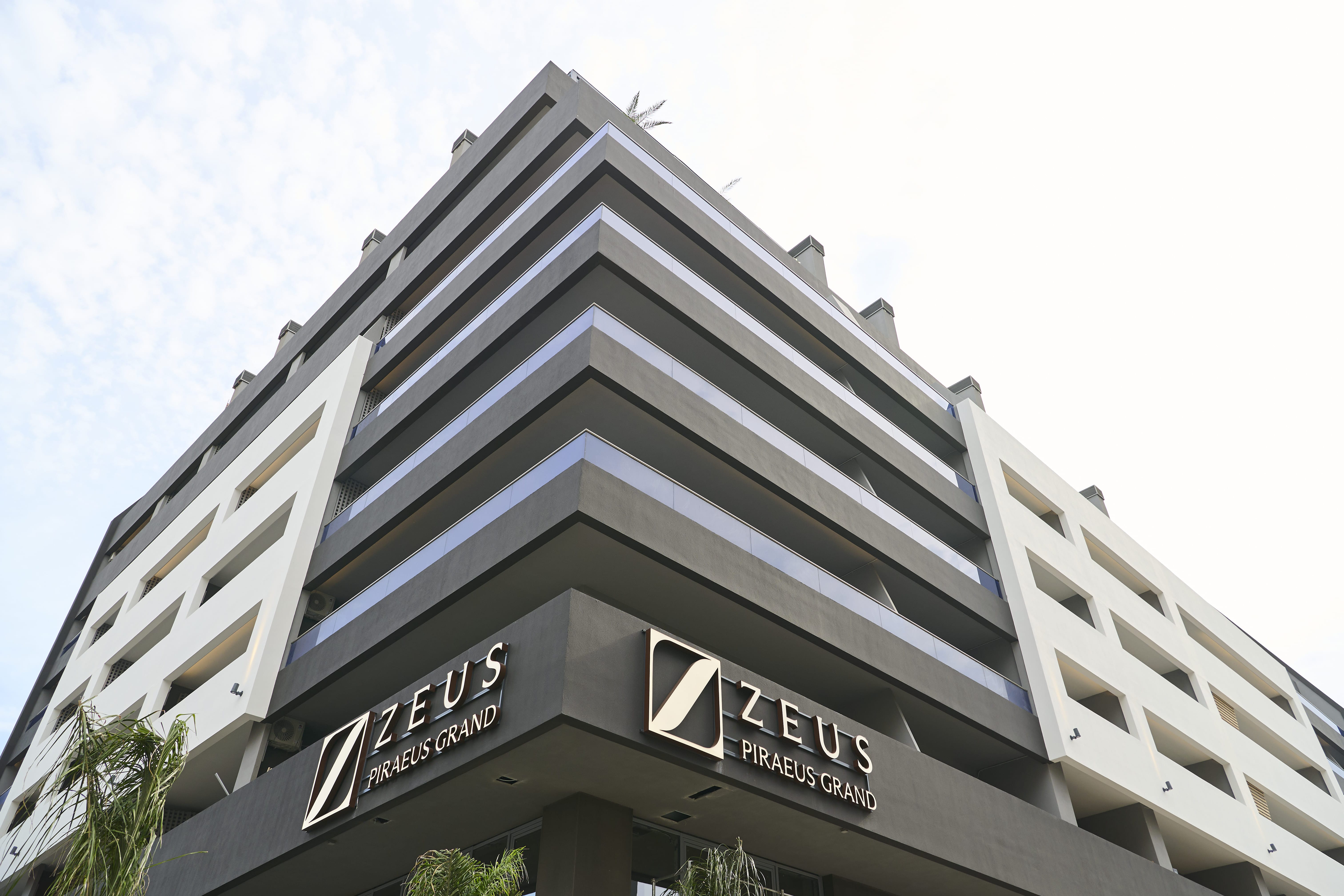 zeus_0364