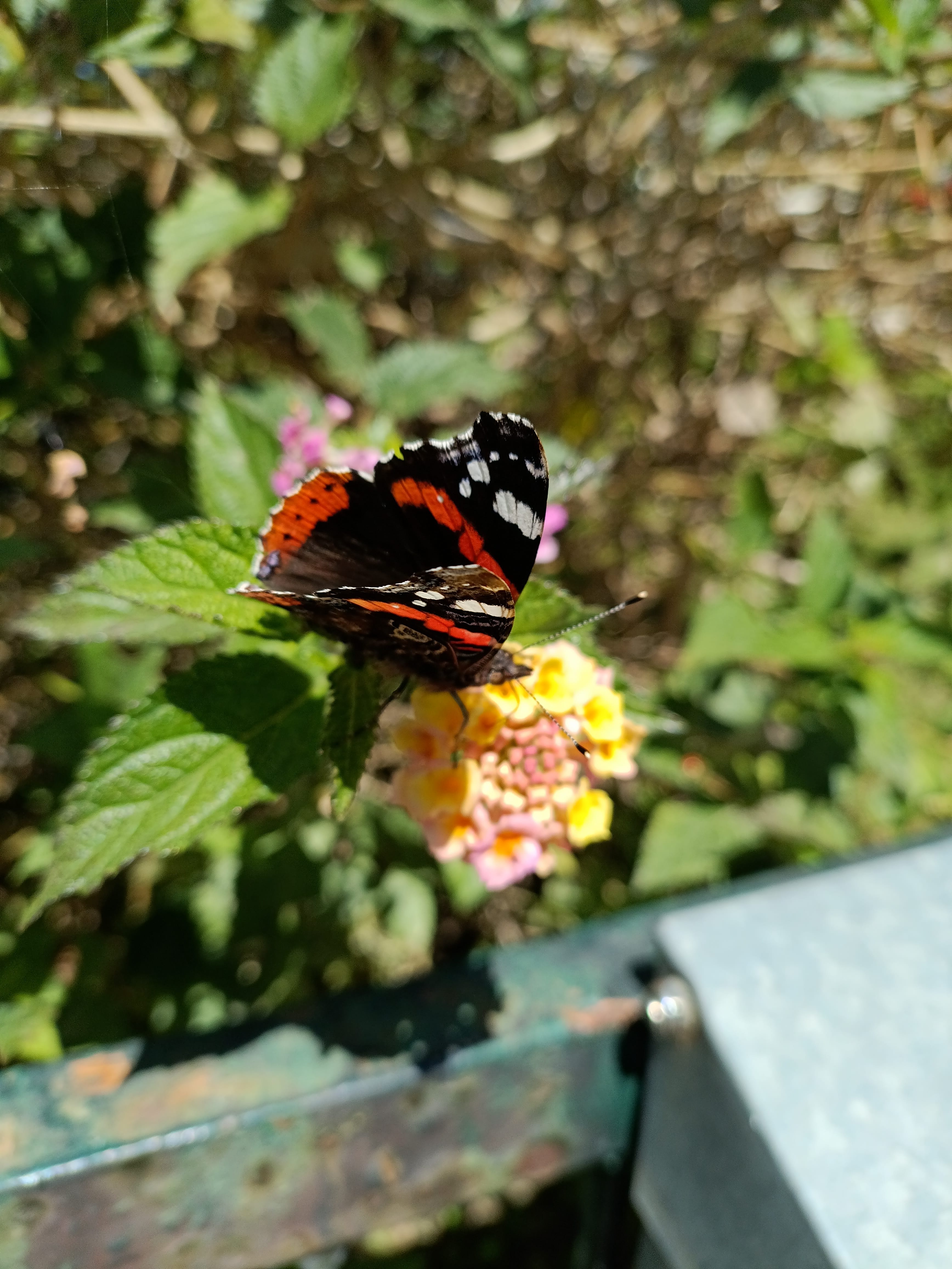 img_20260319_083212