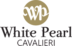 wp-cavalieri