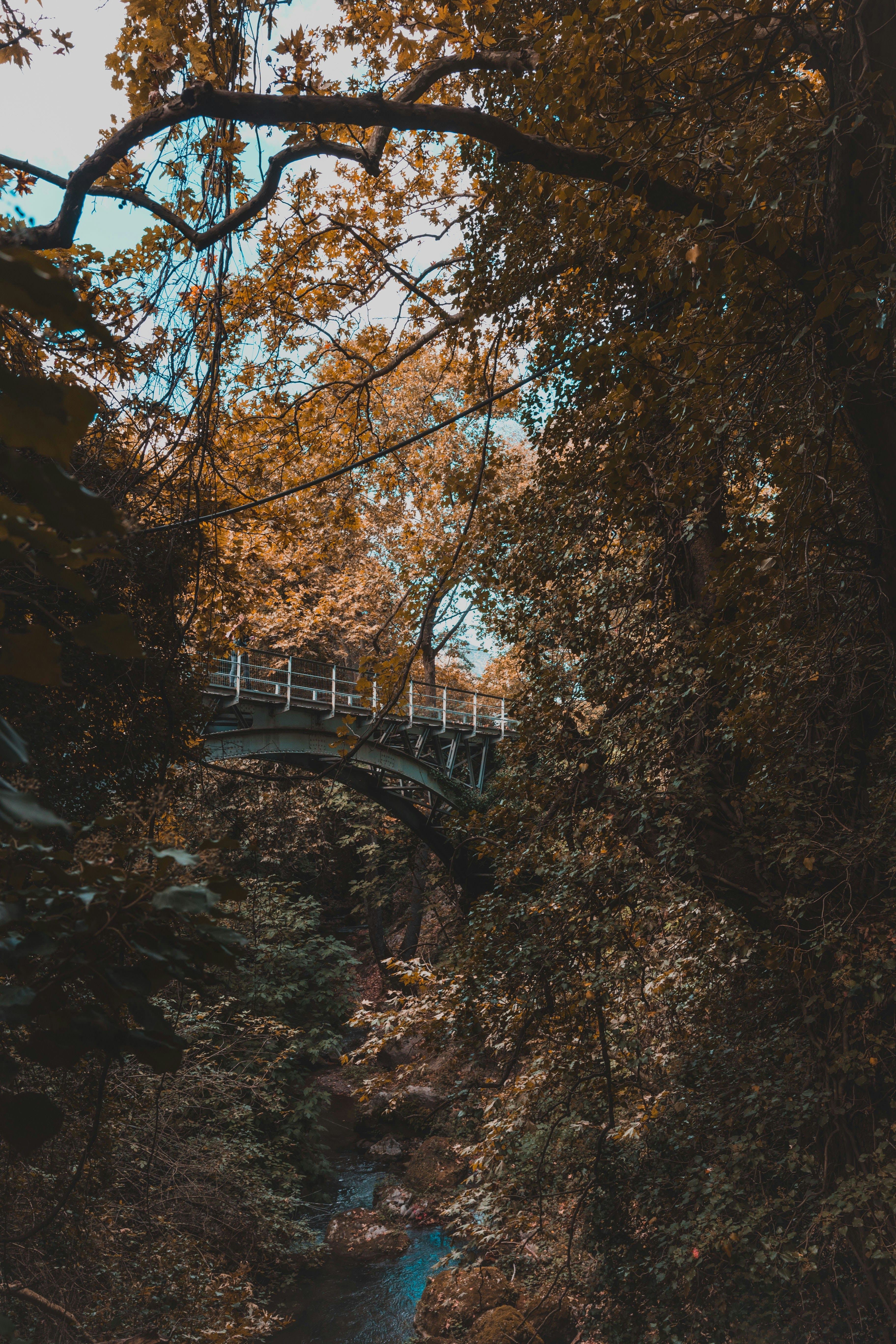 a bridge over a river