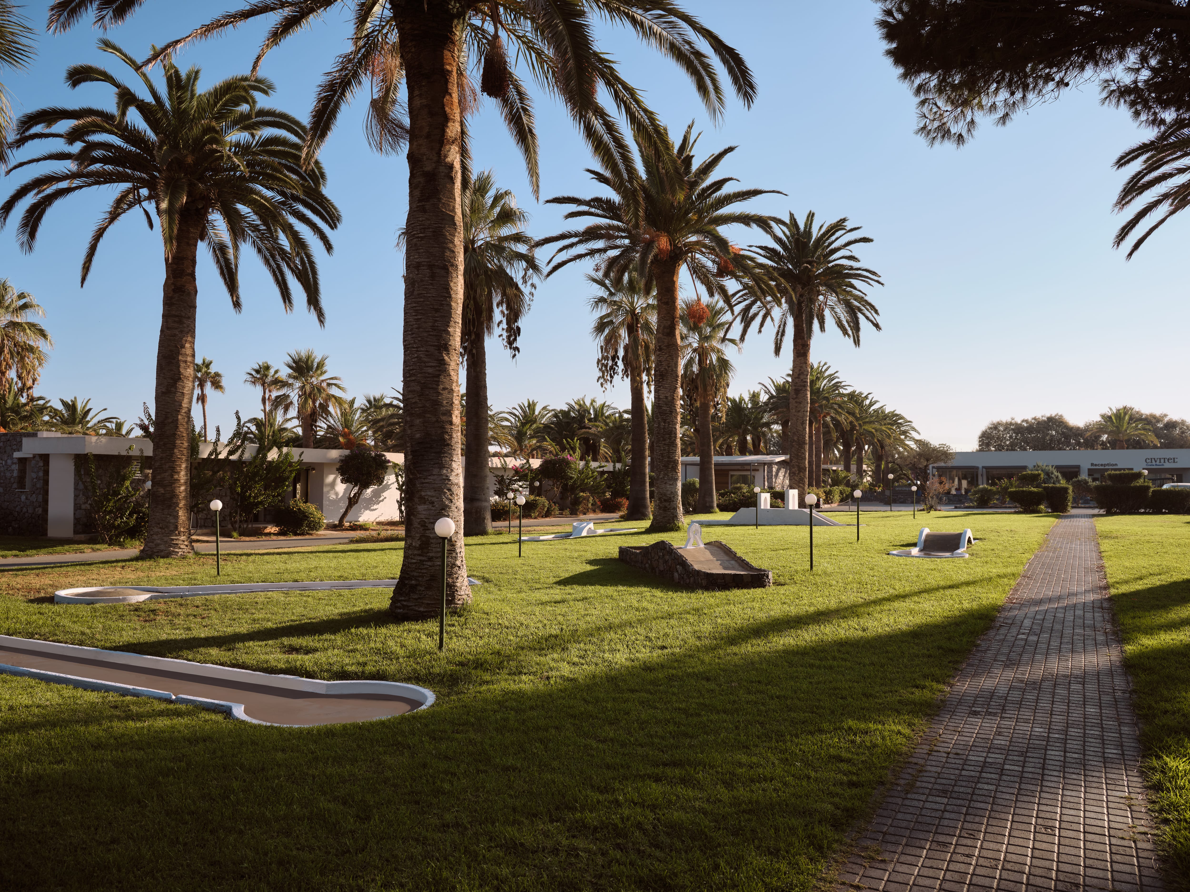 a golf course with palm trees