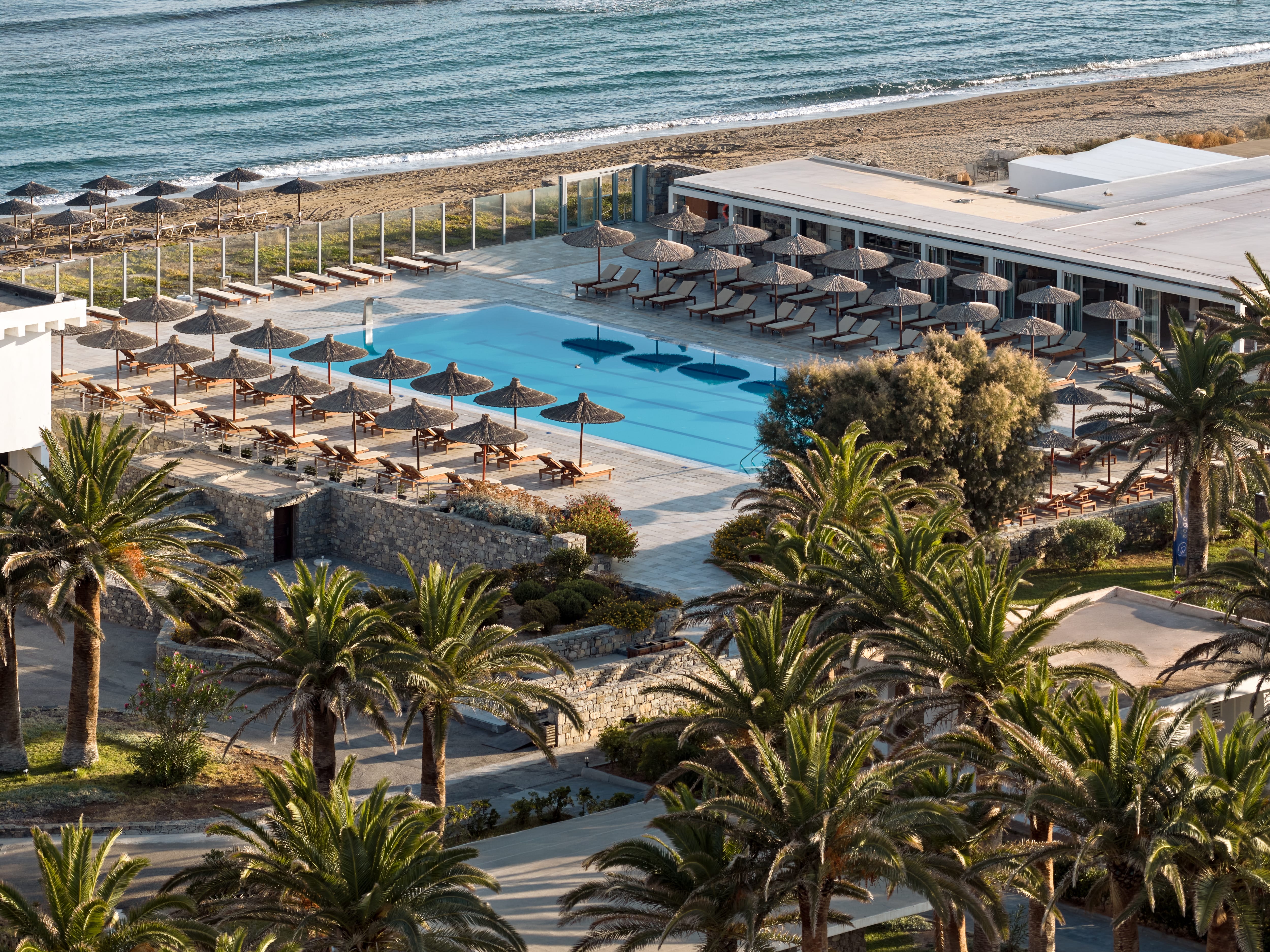 a swimming pool and palm trees by a beach