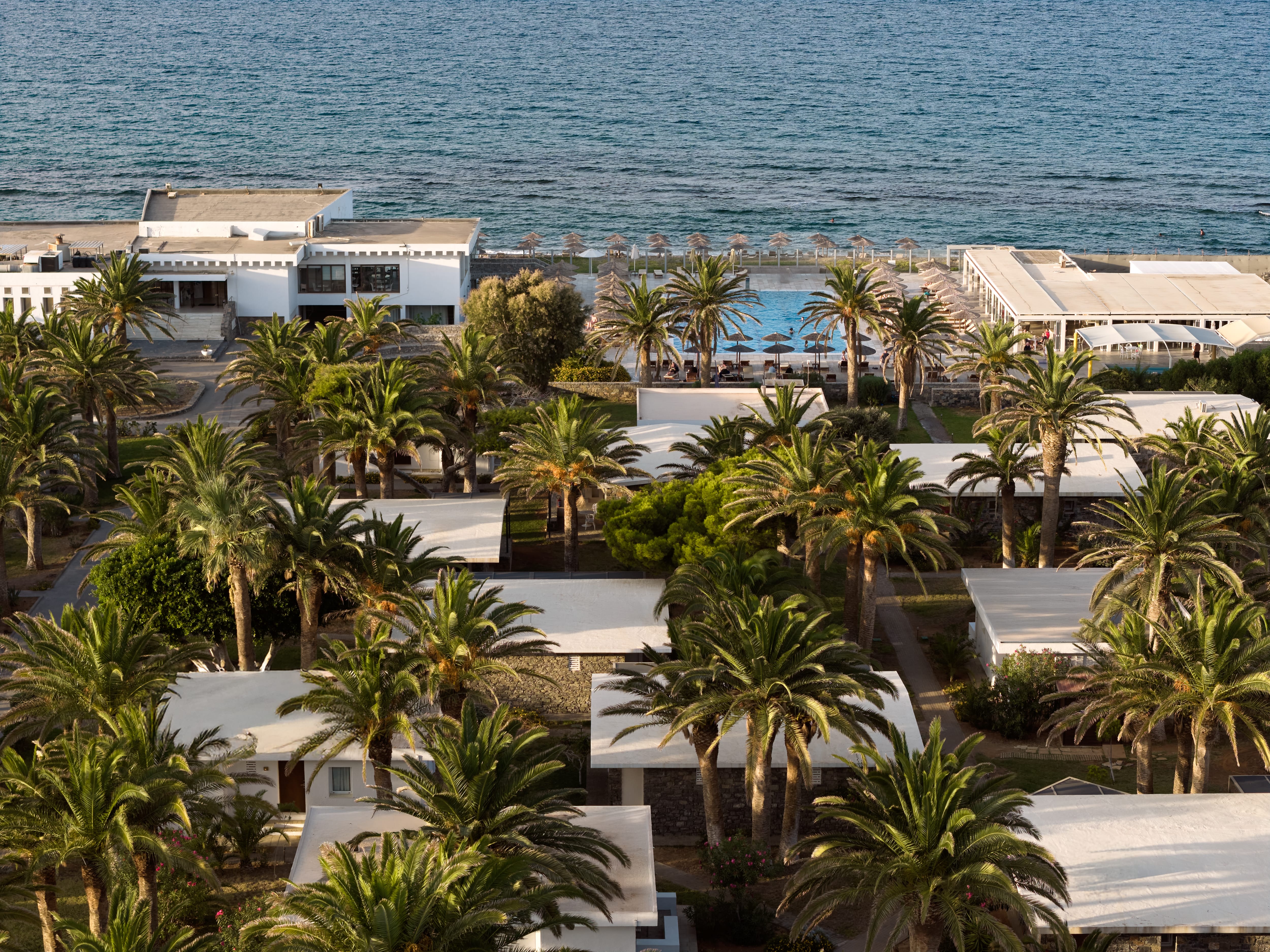 a group of houses with palm trees by the water