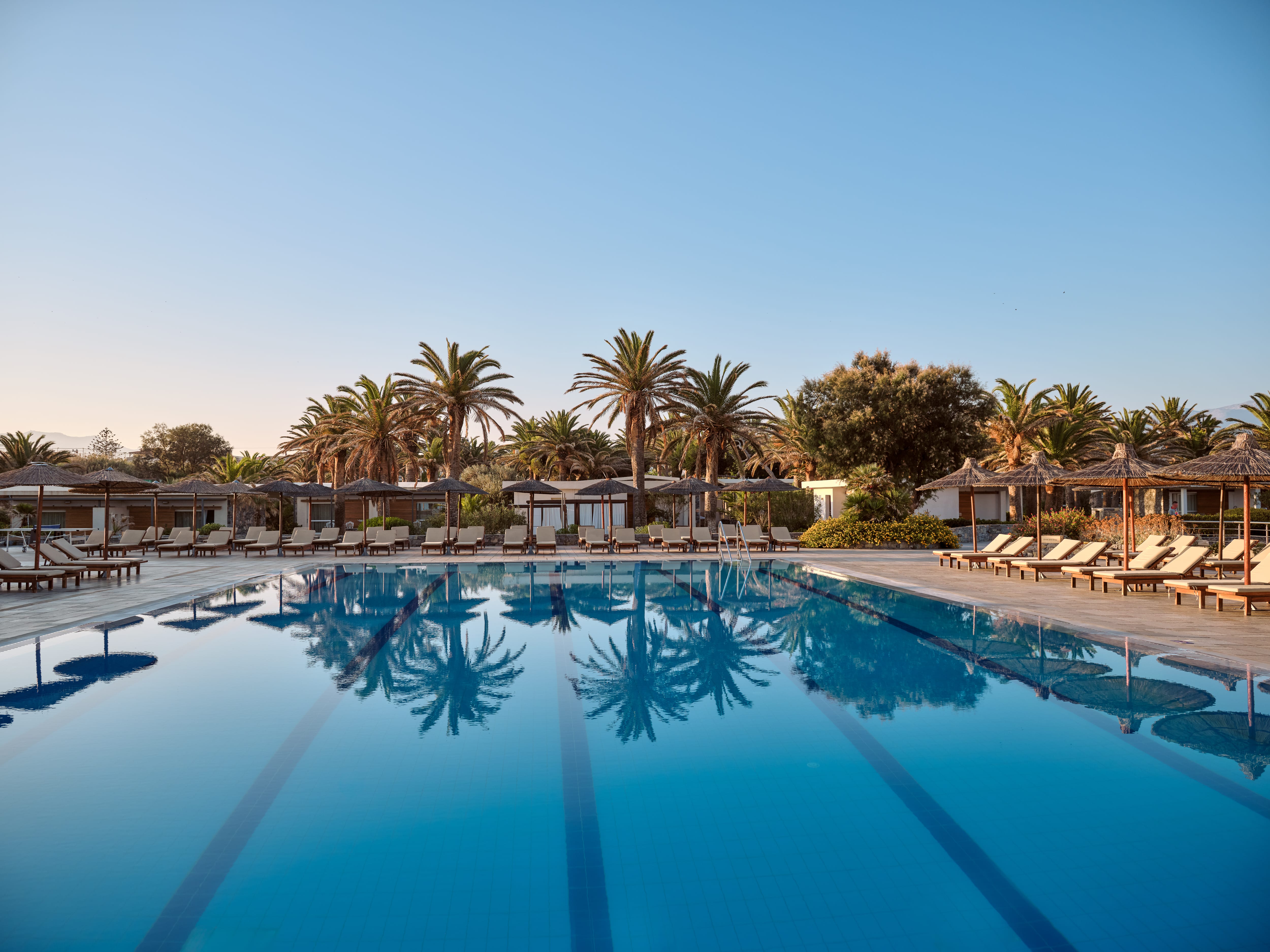 a pool with palm trees and a blue sky