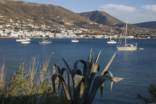 6.1st-banner-enjoy-the-sea-breeze