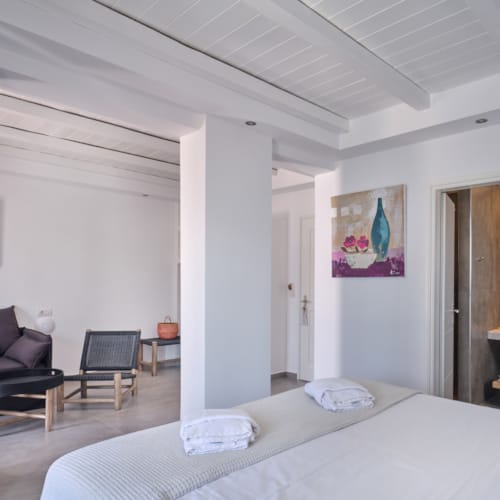 suite-with-sea-view-and-plunge-pool-3