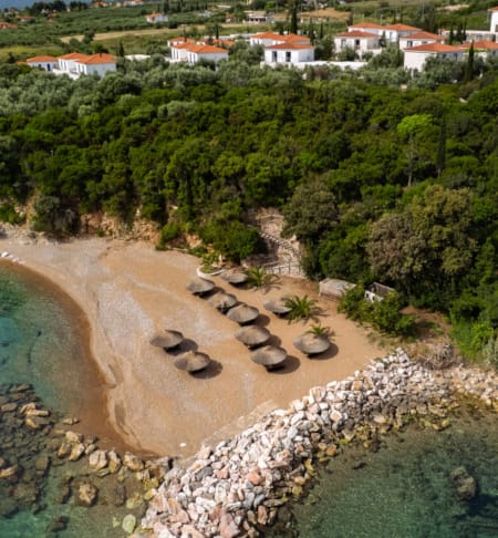 jungle-beach-vertical