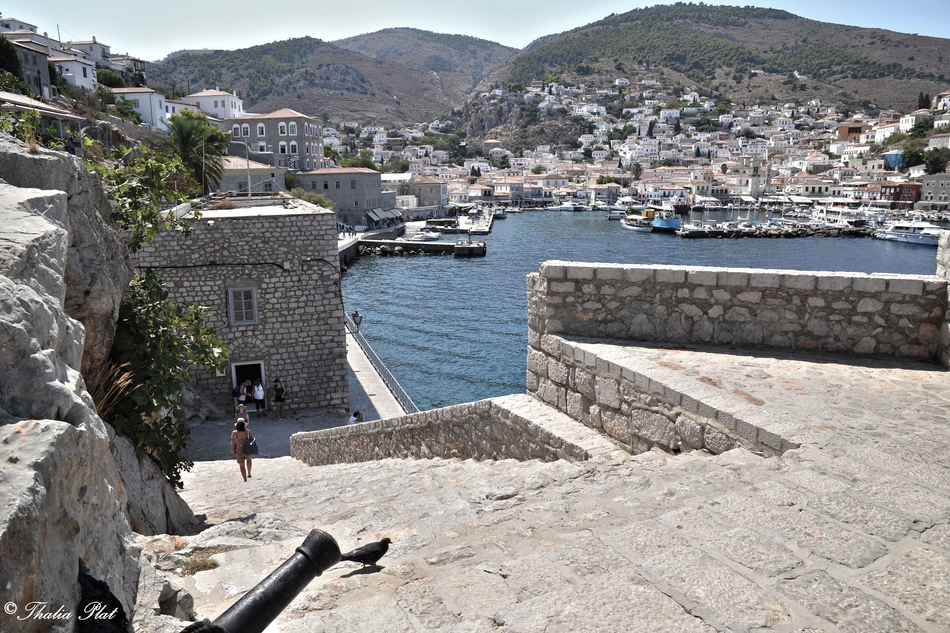 shutterstock_756926395-1