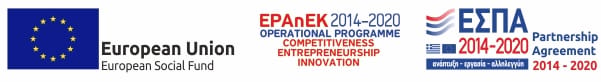 e-bannerseuesf600x80