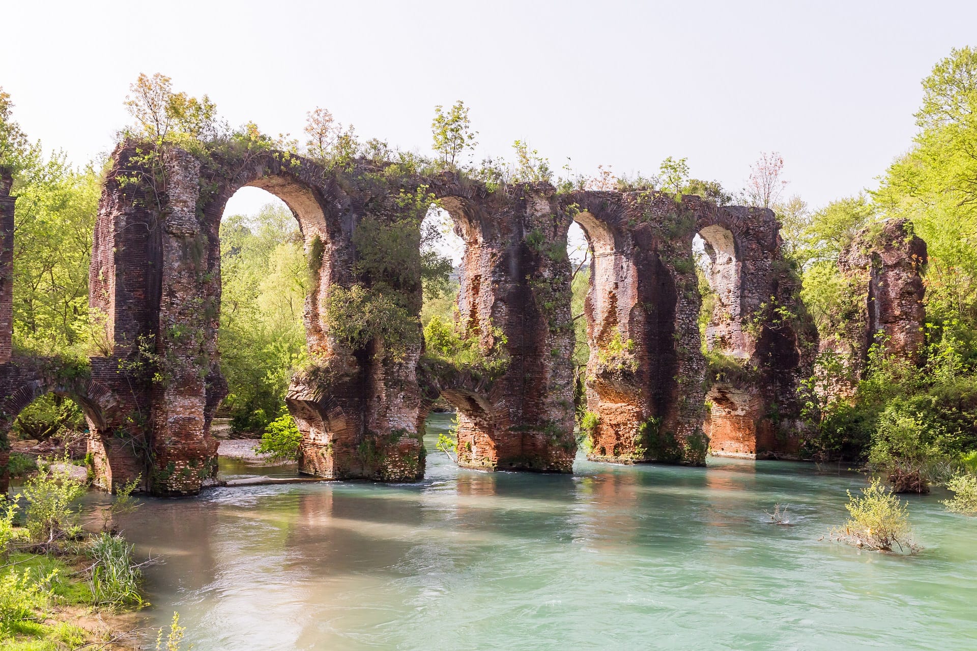 shutterstock_1088492114