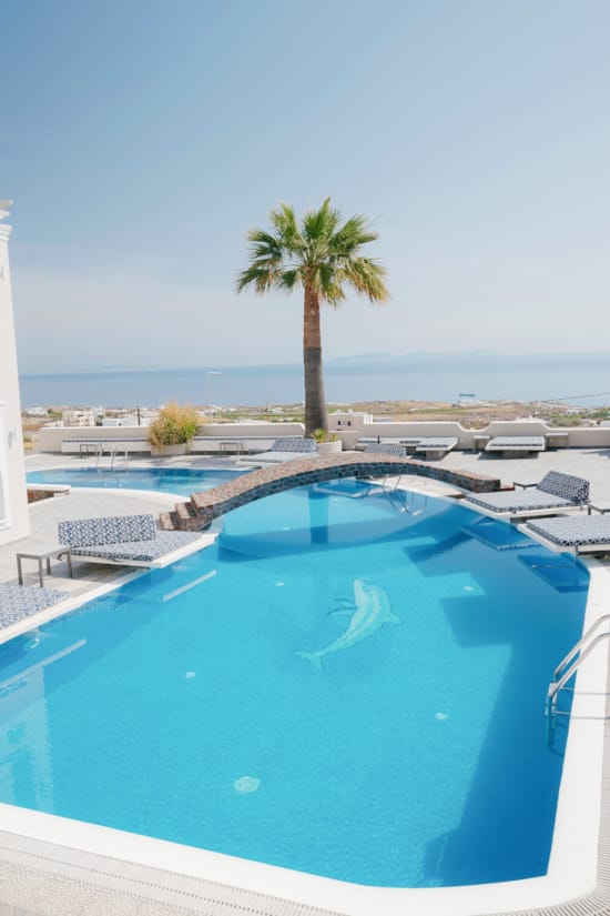 a pool with a palm tree in the background