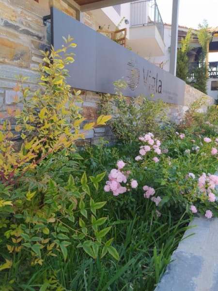 a garden with flowers