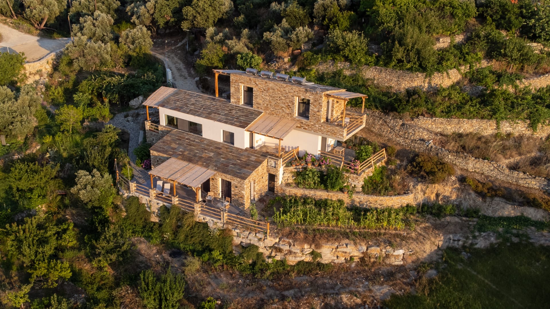 a house in the middle of a forest