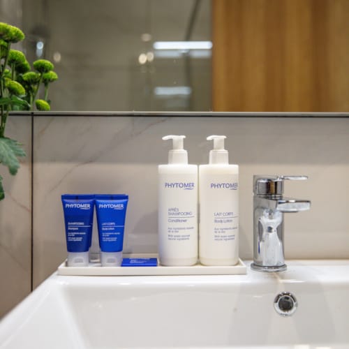 a sink with a mirror and a plant