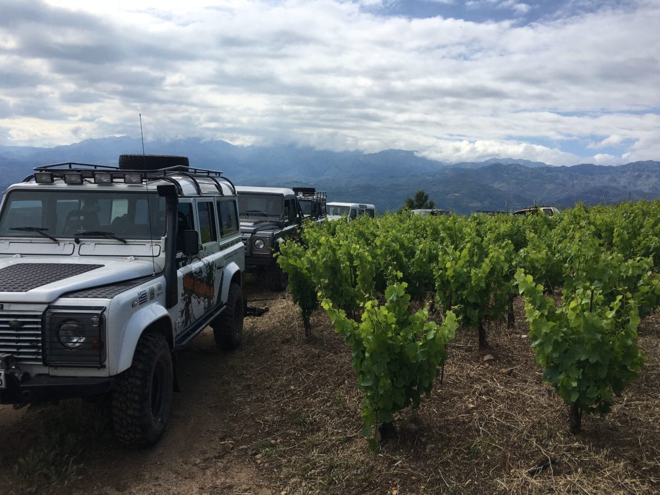 manousakis-winery-and-vineyard-tour-1300x975