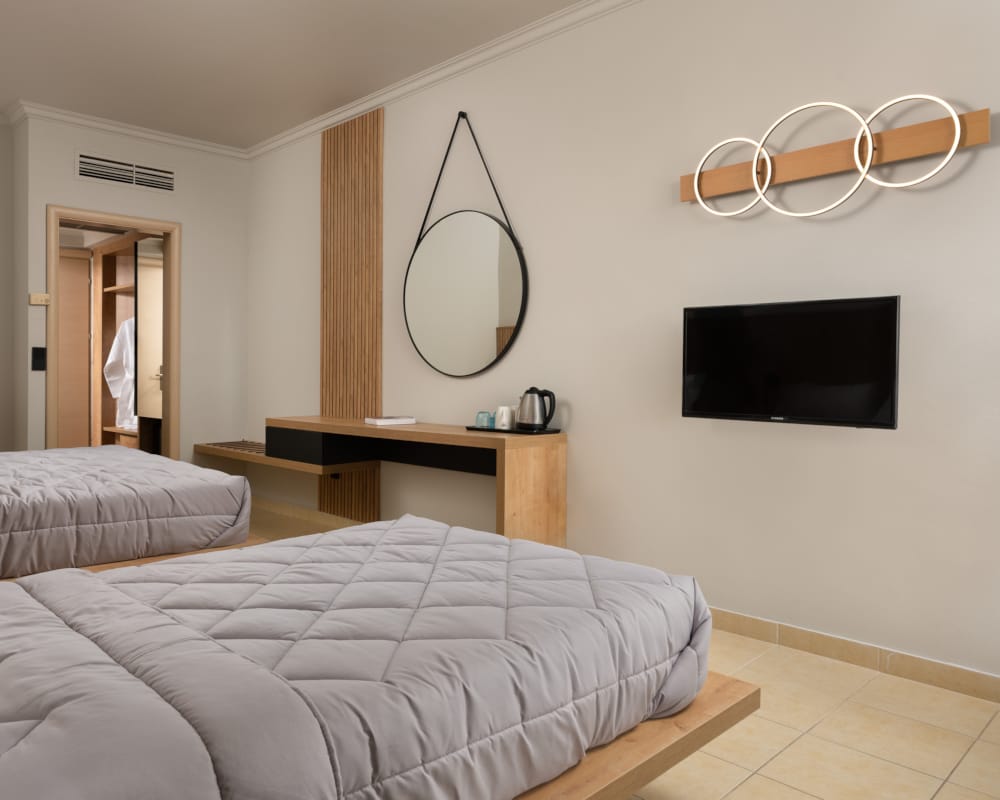 a bedroom with a tv and a bed