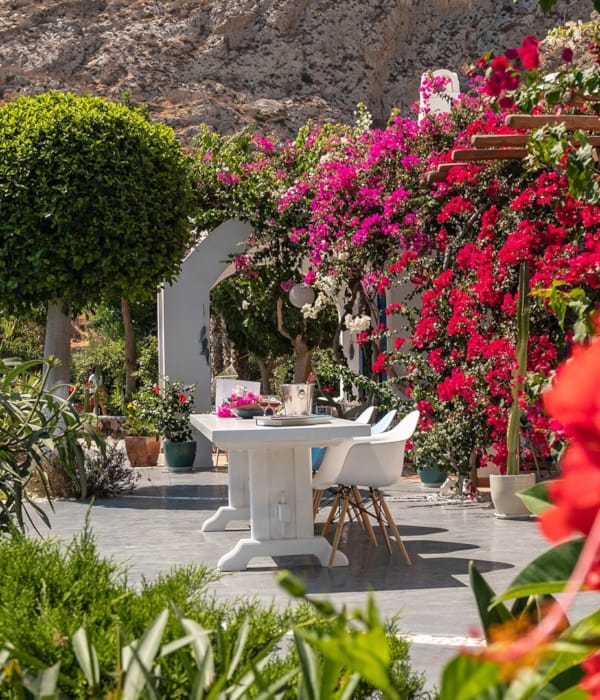 santorini_mystique_garden-villa-landscape-yard-2