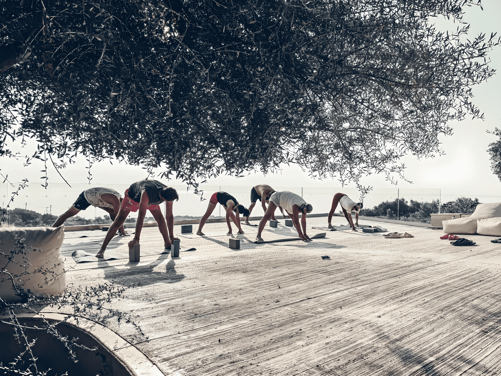 2025-6-upscaled-x1.2f