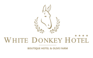 White Donkey Hotel