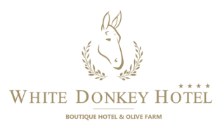 White Donkey Hotel