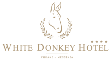 White Donkey Hotel