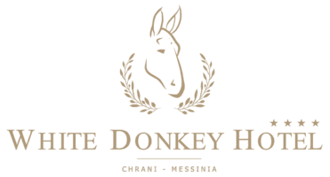 White Donkey Hotel