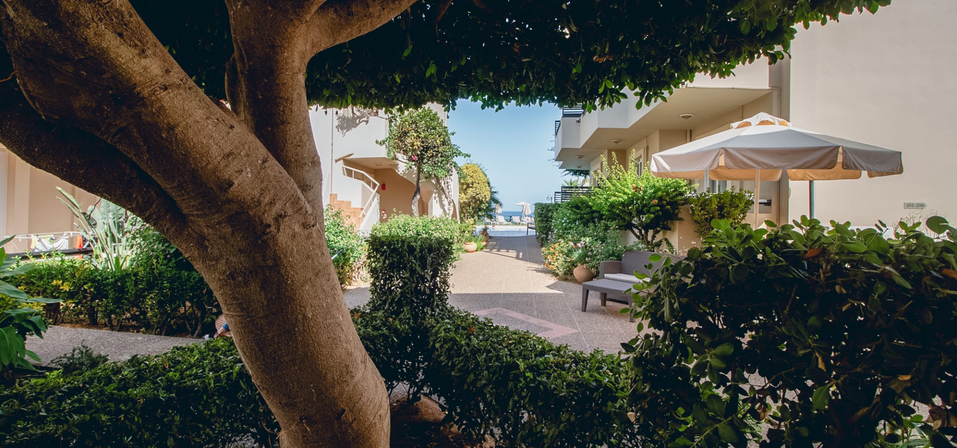 a tree with umbrellas and plants