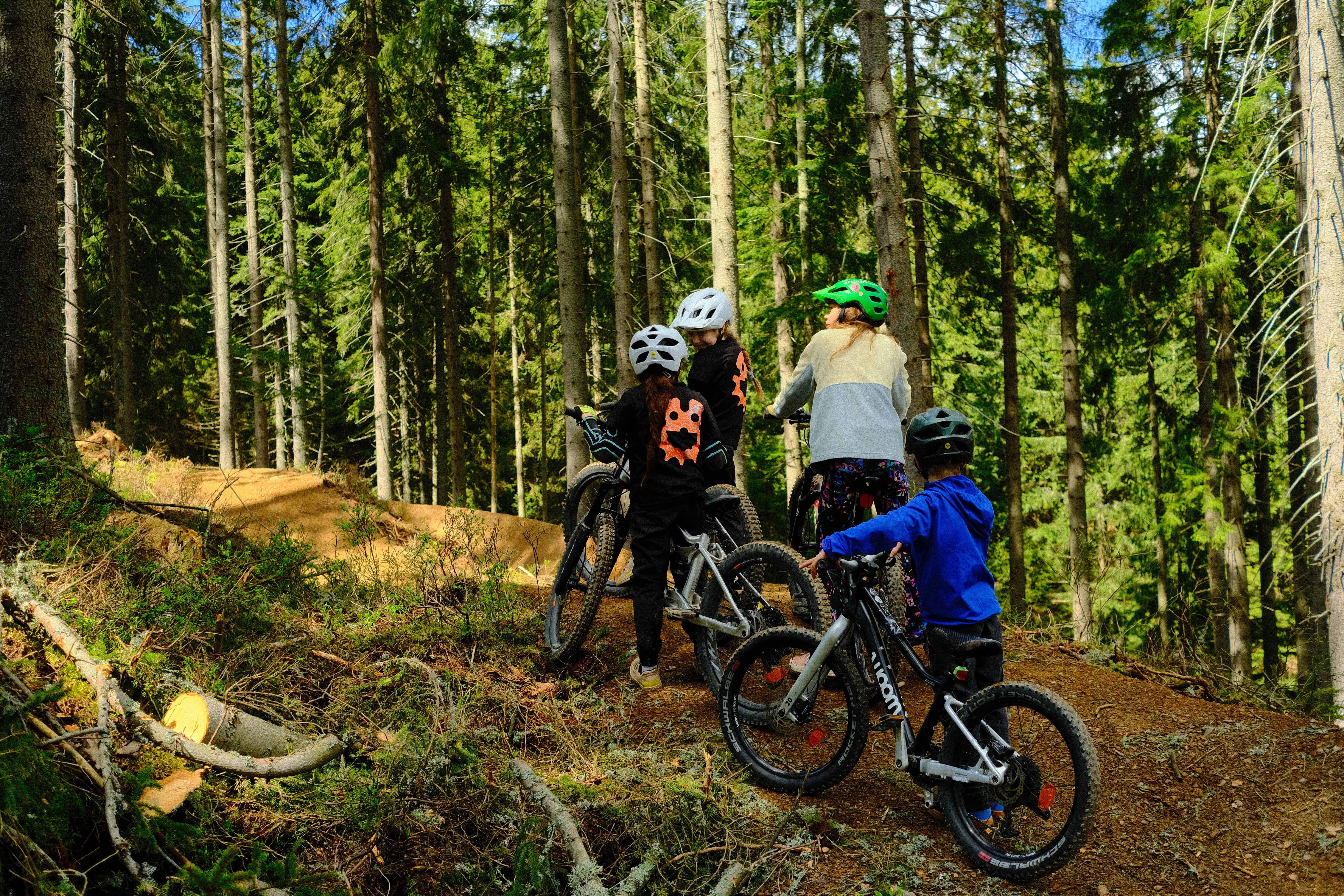 a group of people on bikes in the woods
