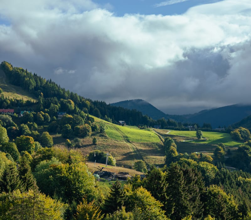 a landscape with trees and hills