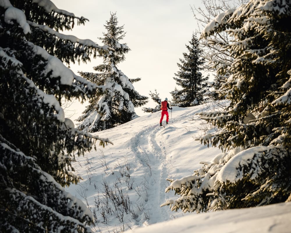 a person skiing down a snowy mountain