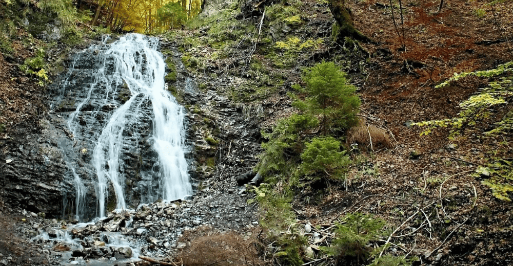a waterfall in a forest