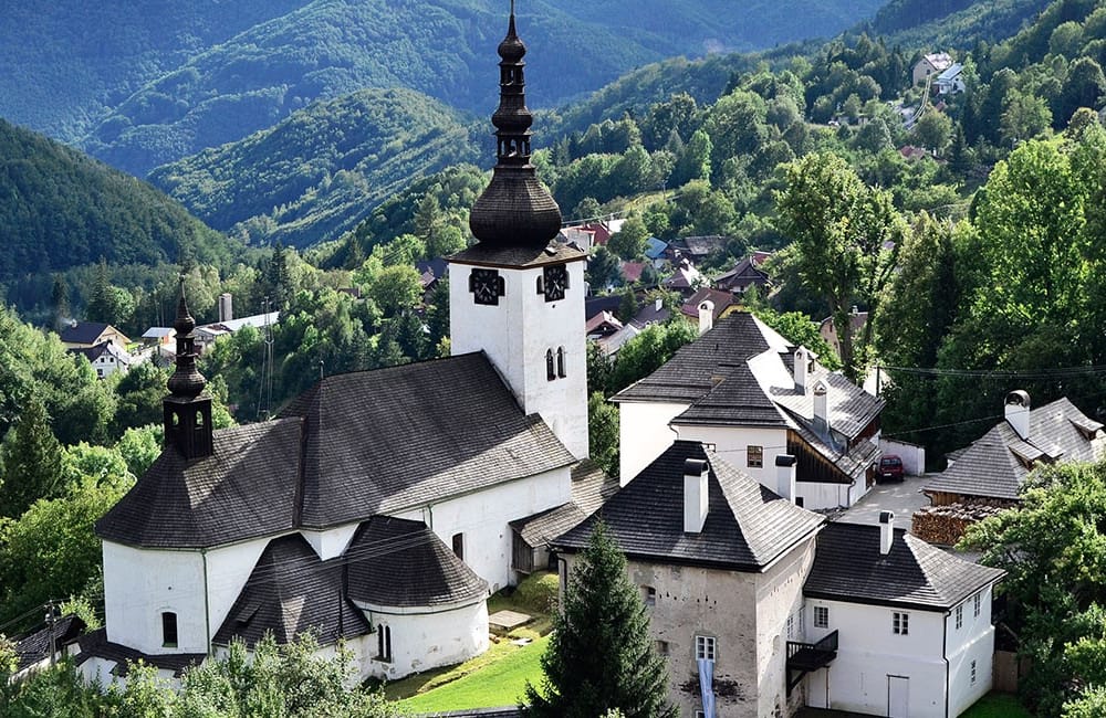 a church in the middle of a forest