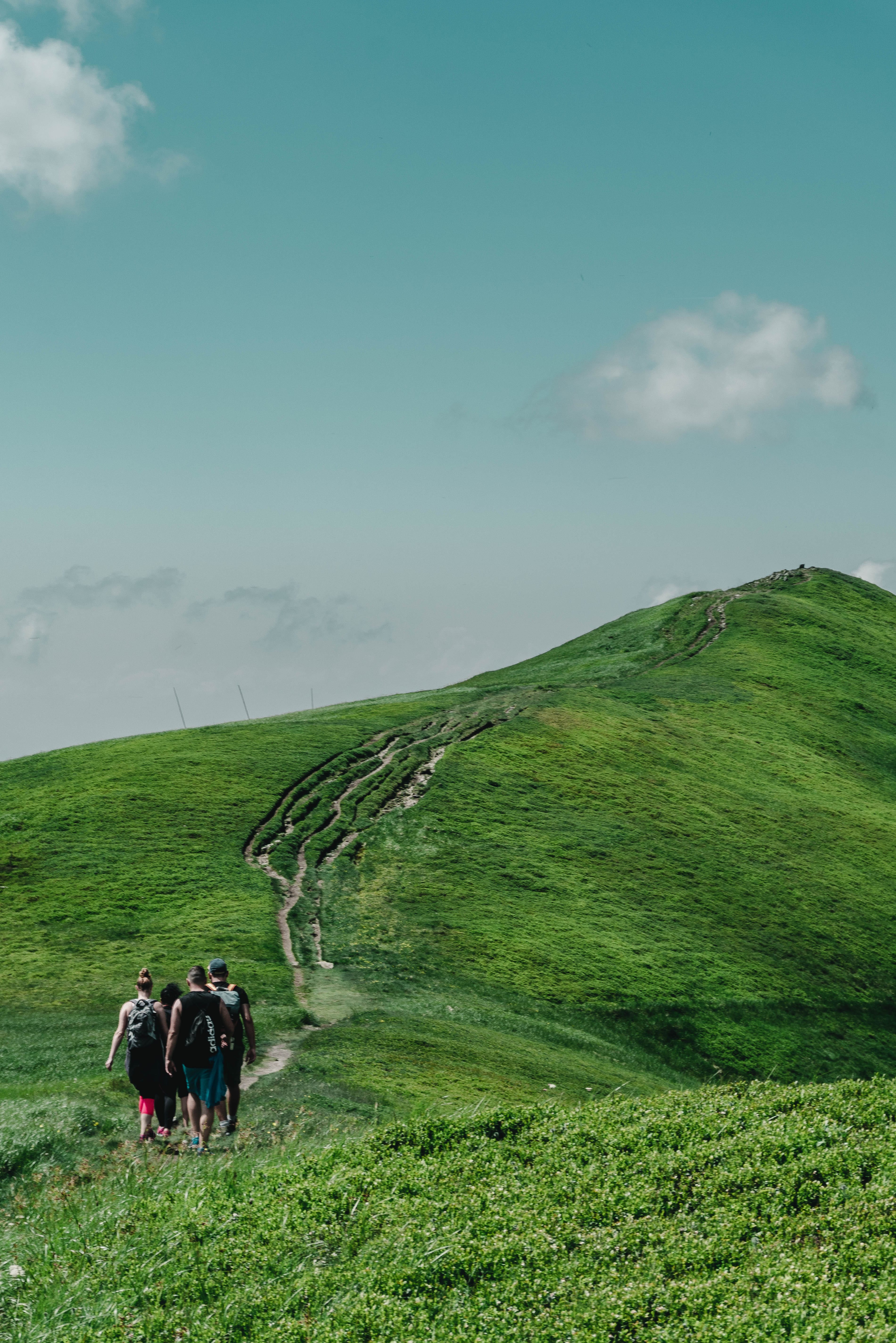 a group of people walking on a path in a grassy field