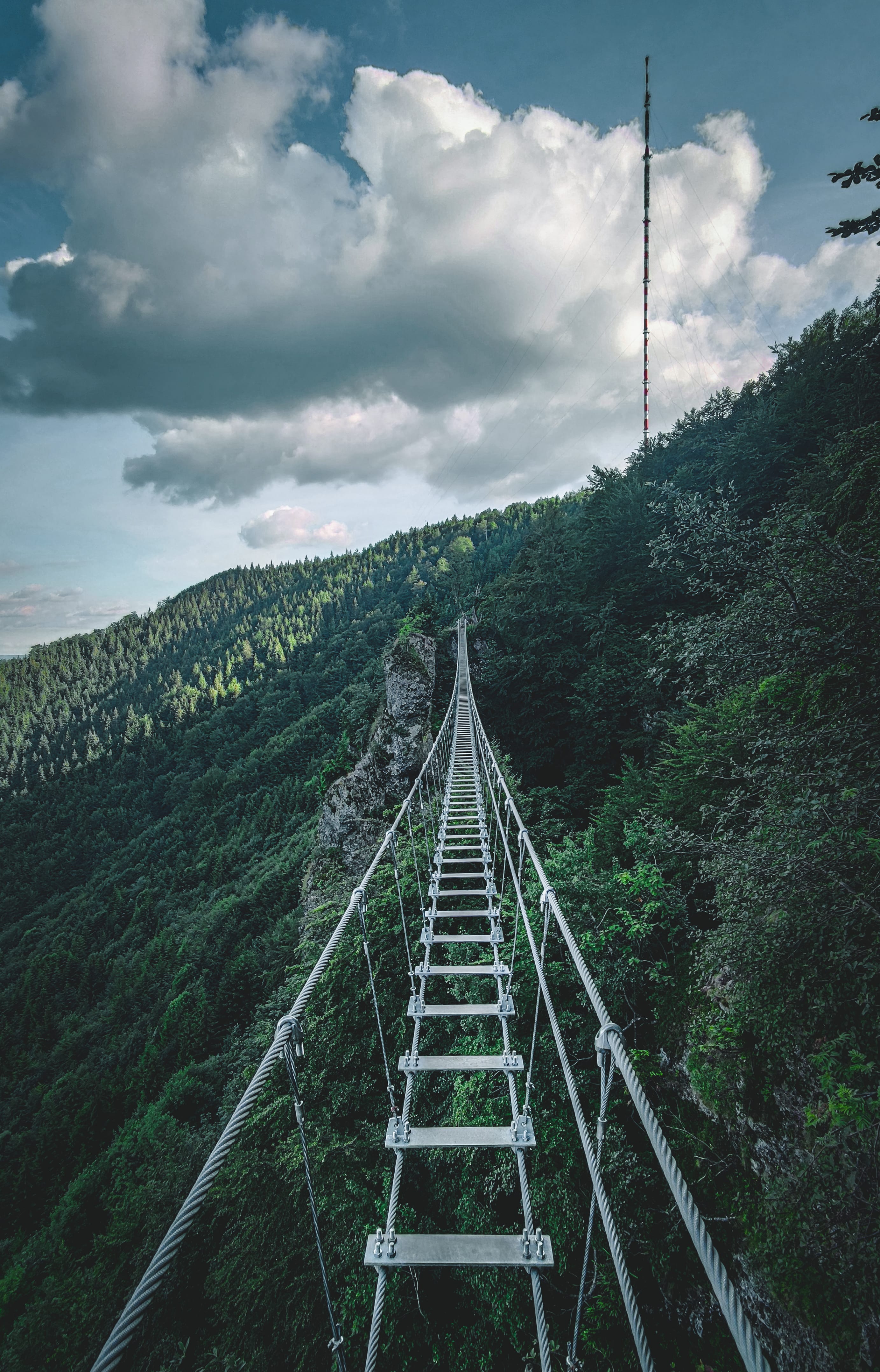 a tall bridge over a forest