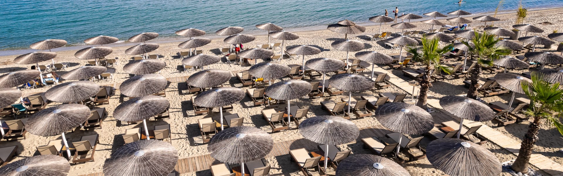 a group of umbrellas on a beach