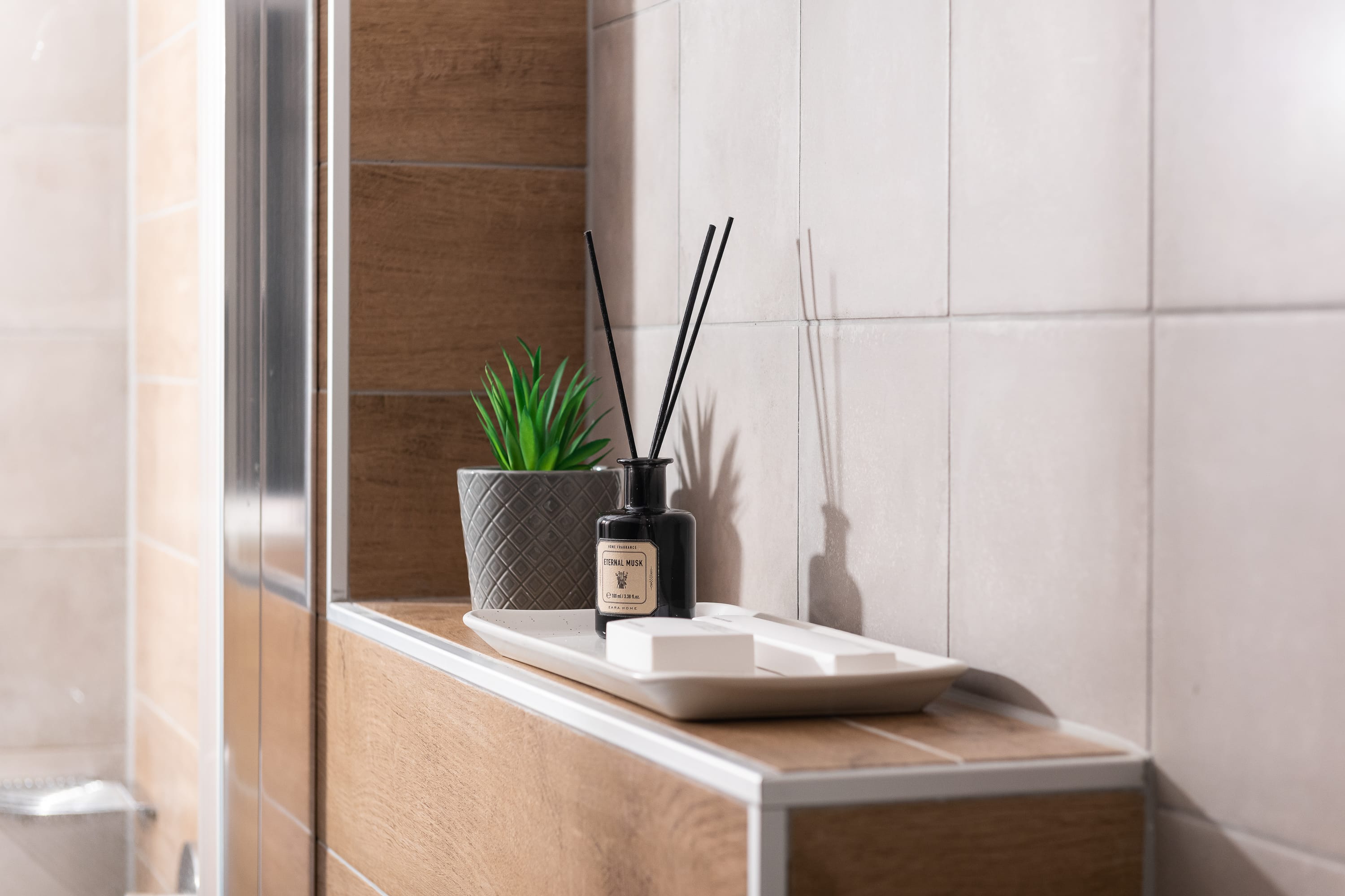 a plant in a pot on a counter