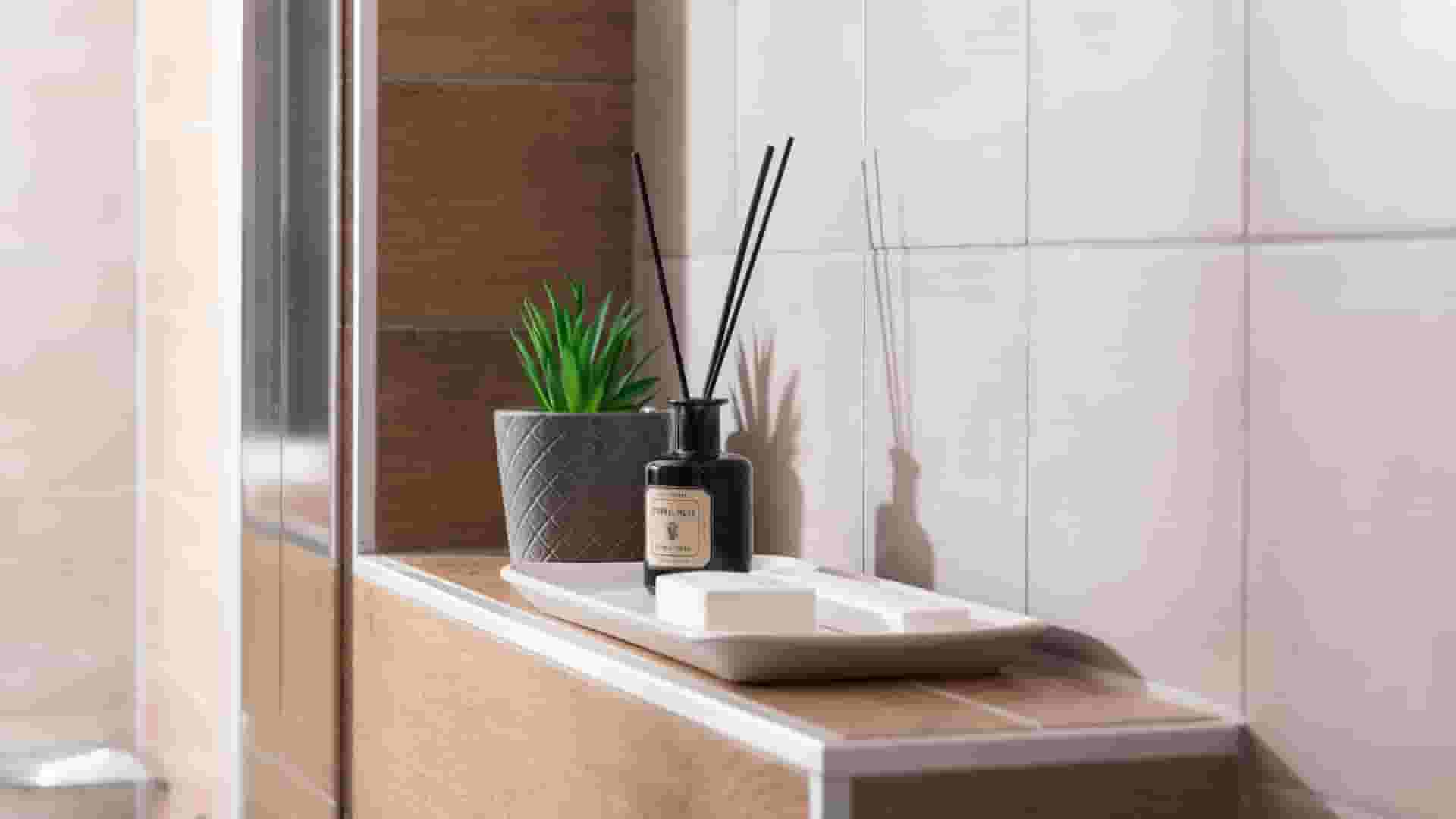 a plant in a pot on a counter