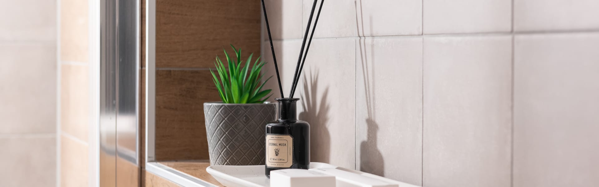 a plant in a pot on a counter