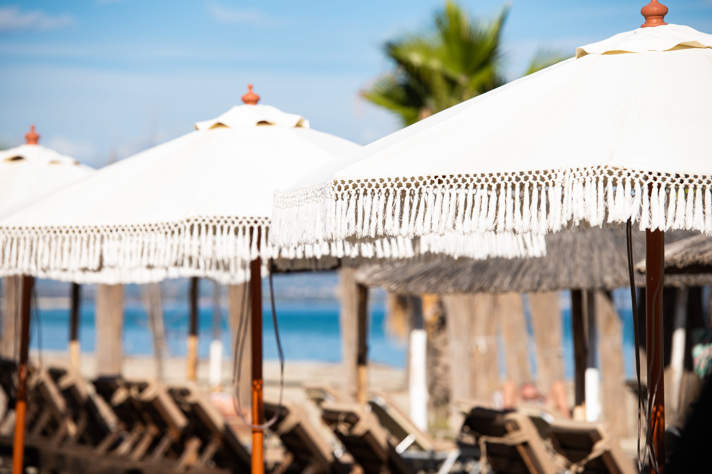 a group of white umbrellas on a beach