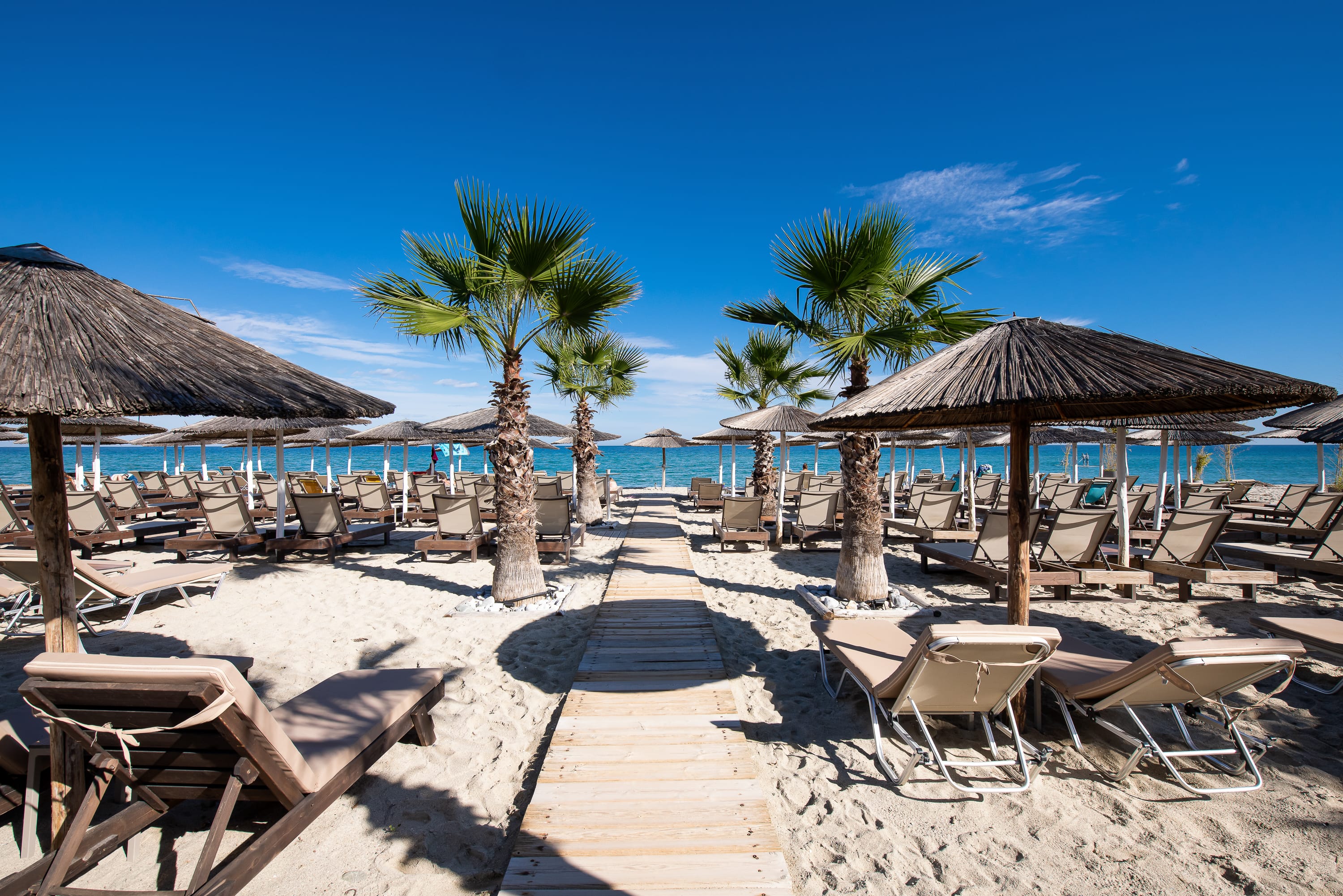 a beach with chairs and umbrellas