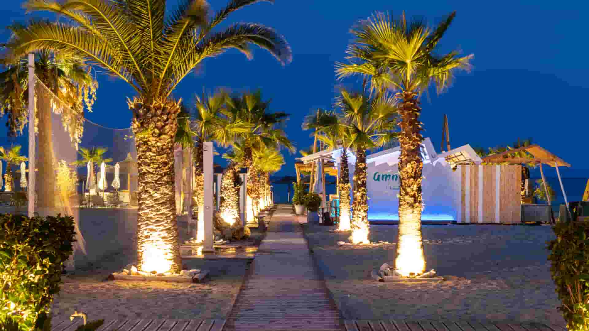 a walkway with palm trees and a building in the background