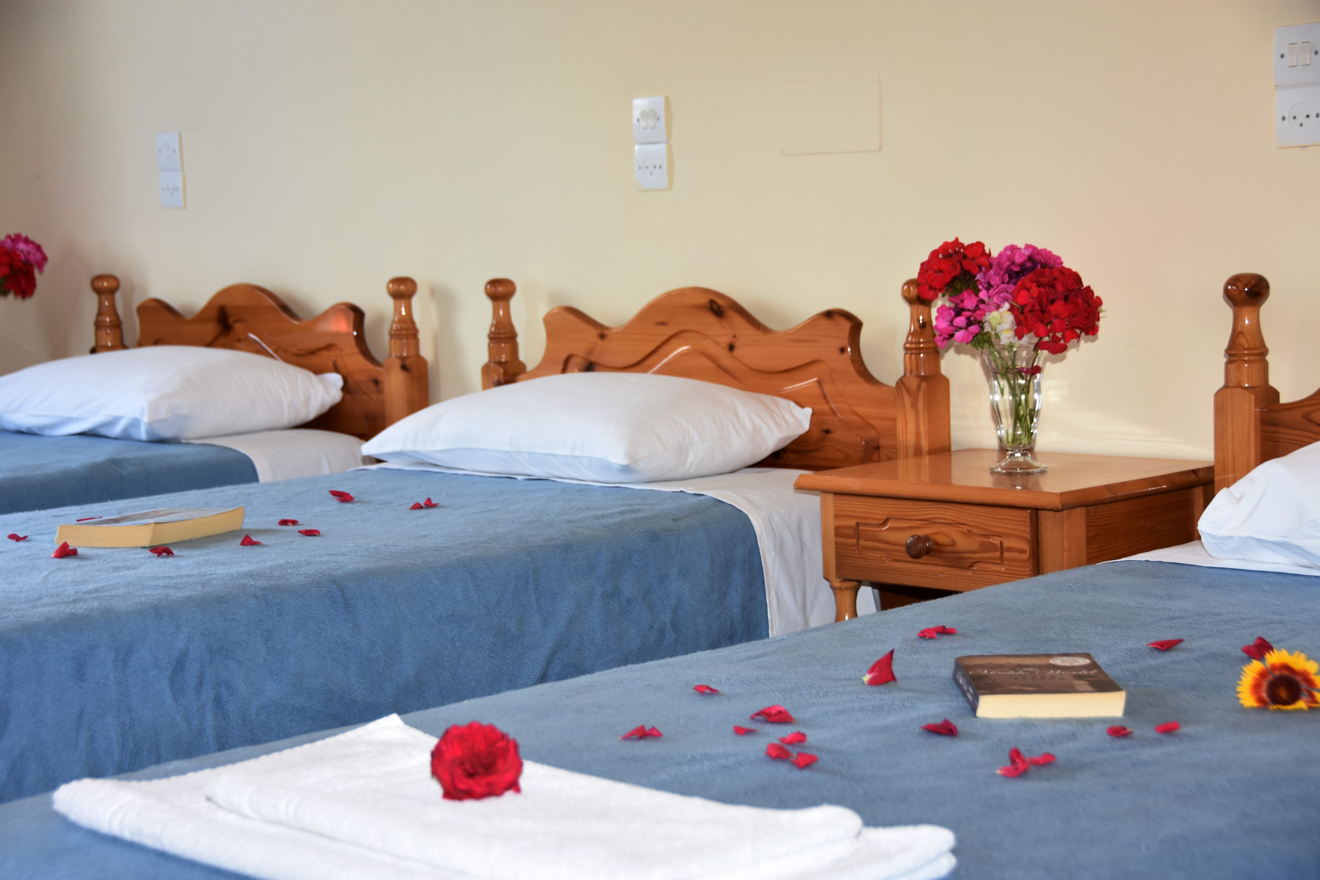 studio-3-bed-studio-3