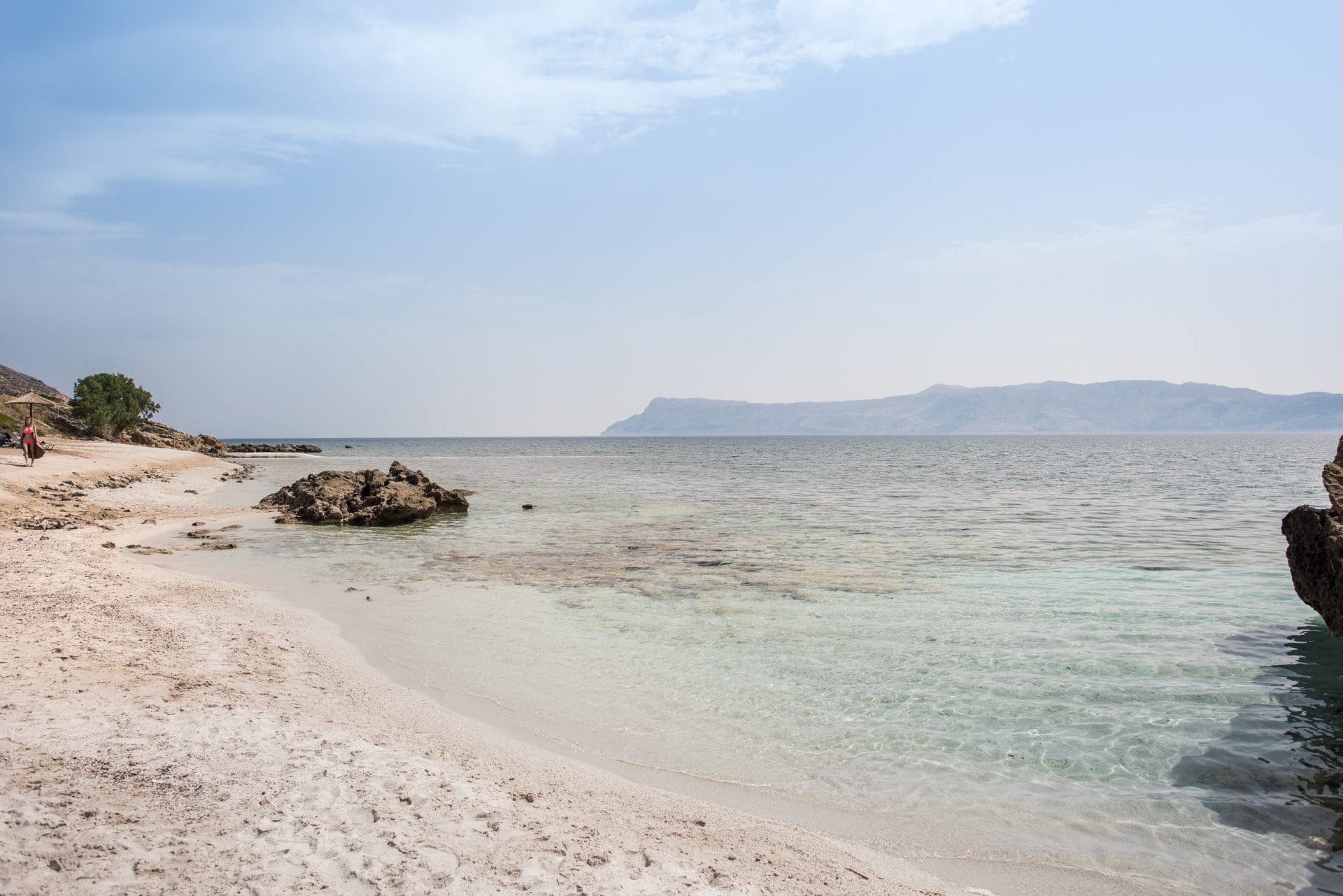 amp_0839-1920x1281-1-1920x1281