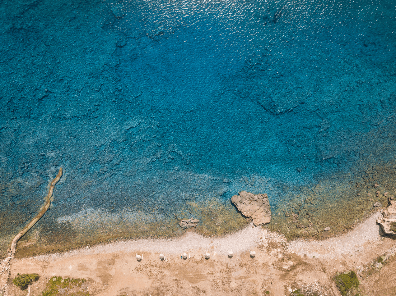 screenshot-2022-12-15-094456