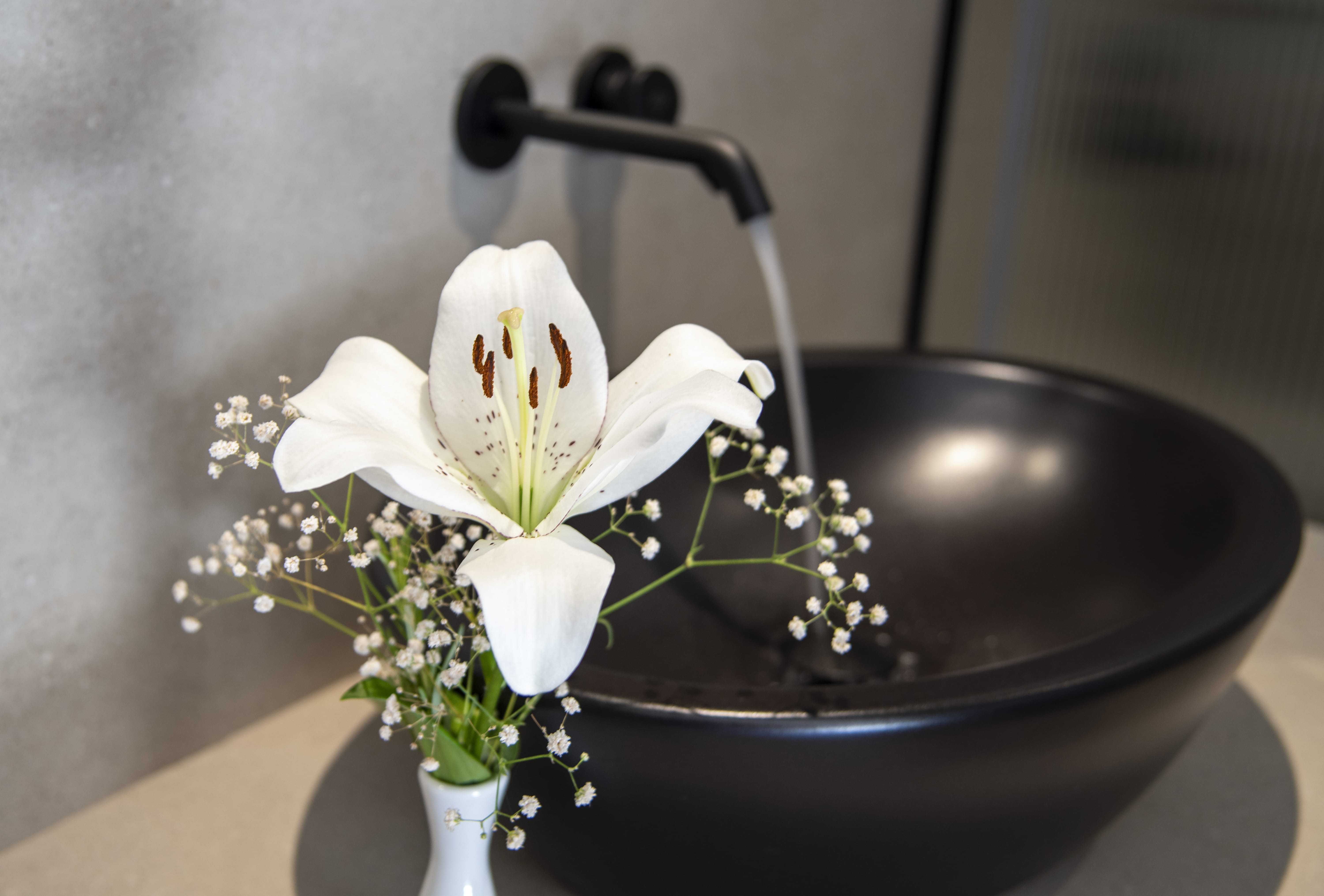 a white flower in a vase