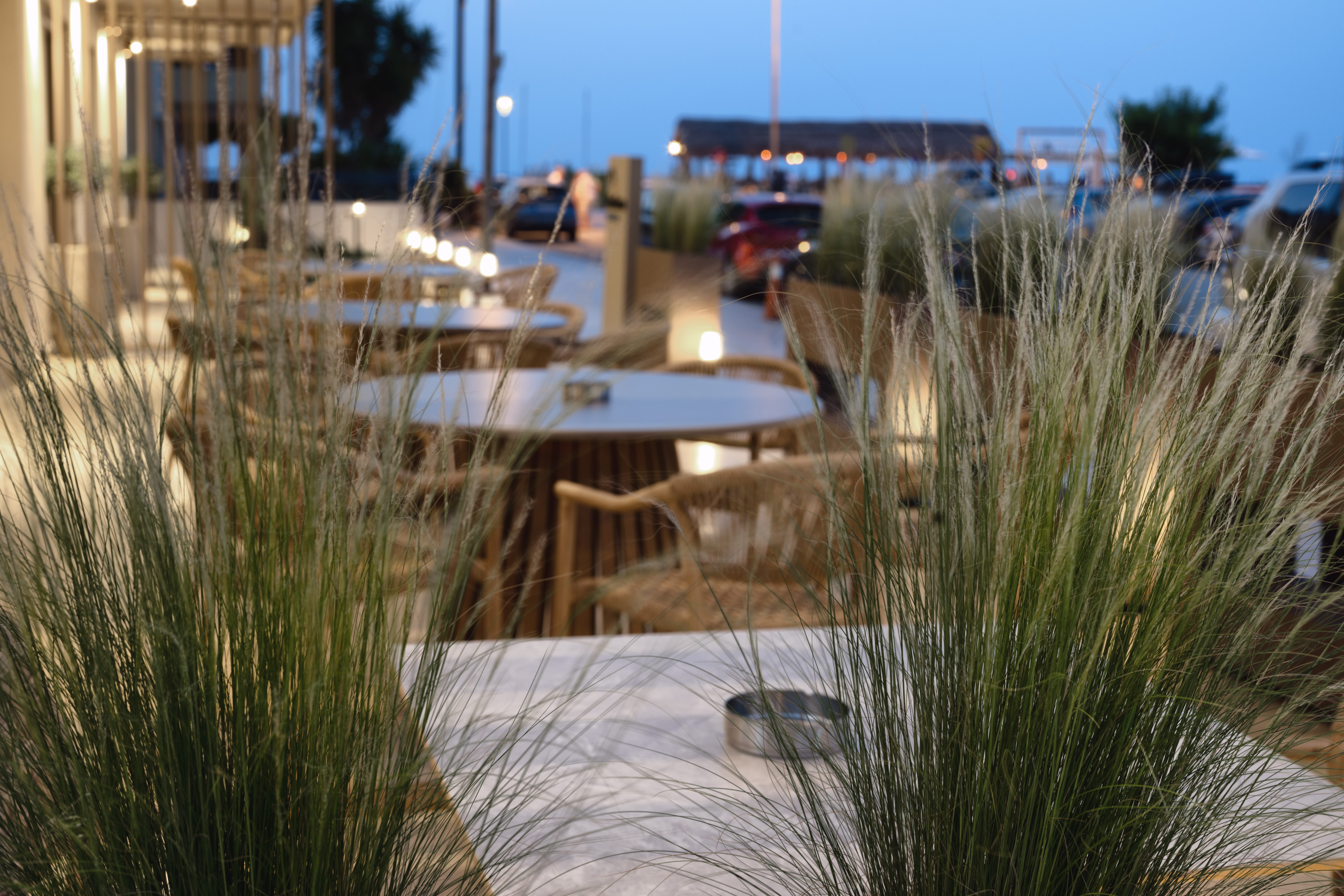 a row of boats on a dock