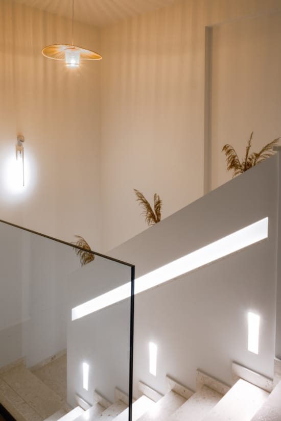 a room with a plant from the ceiling