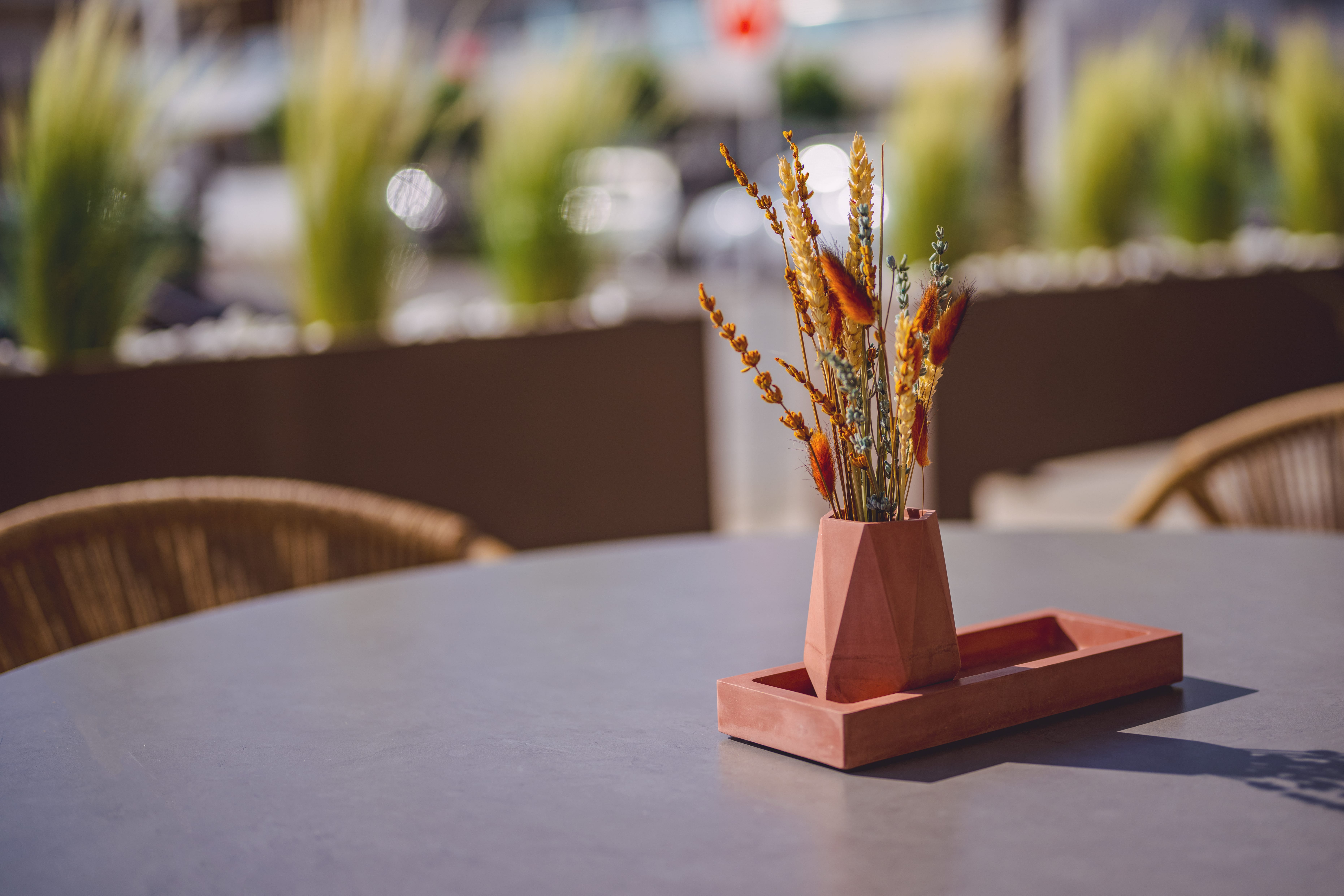 a small plant in a pot