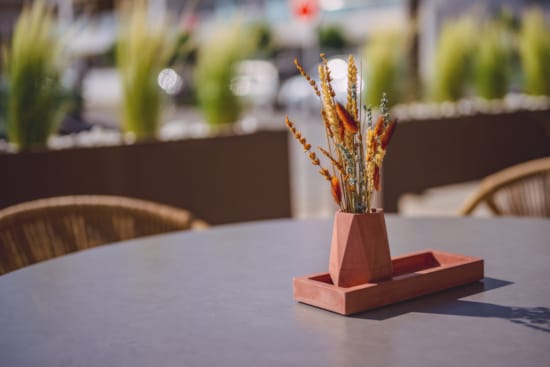 a small plant in a pot