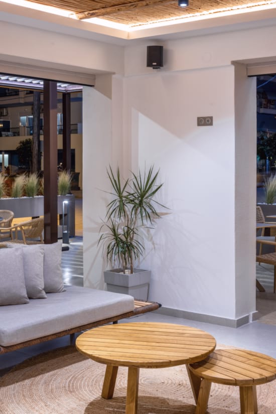 a room with a plant and a couch